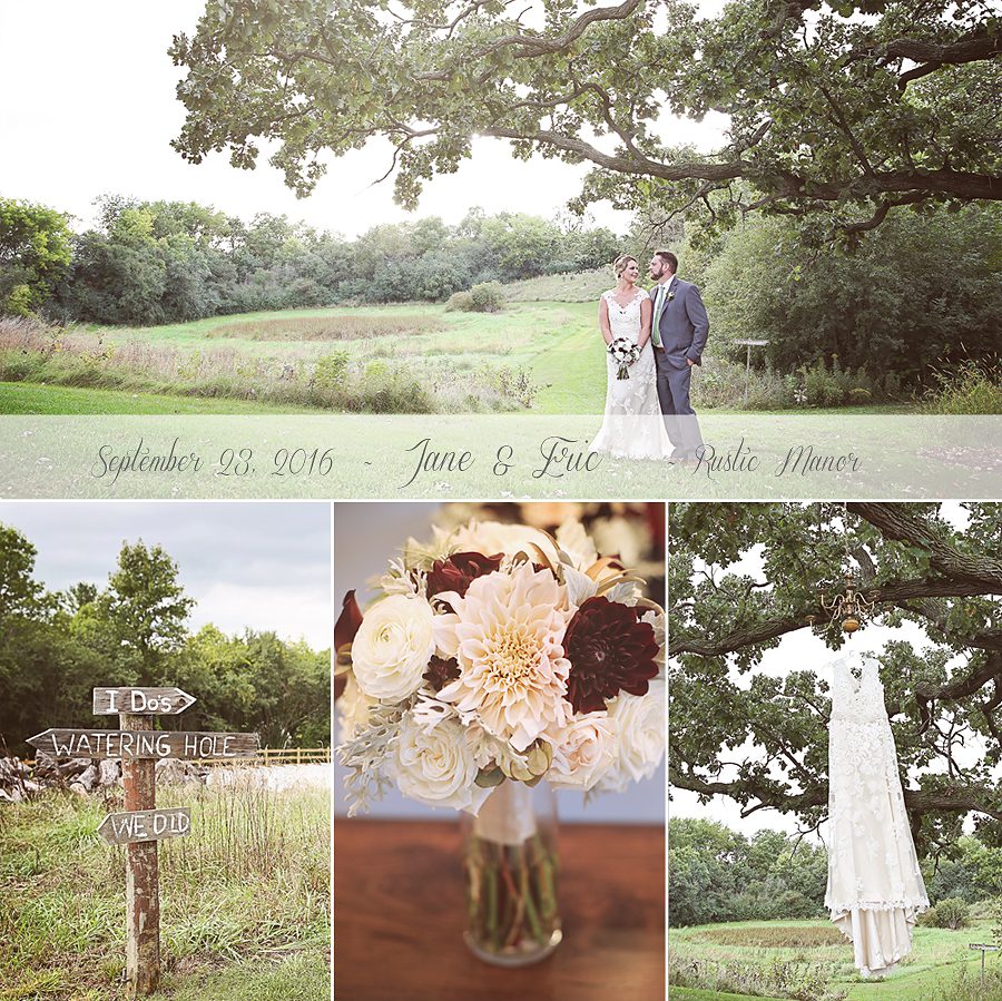 steinweddingblogboard1